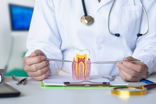 Best Urgent Dental Care for Toothaches in Delta, CO